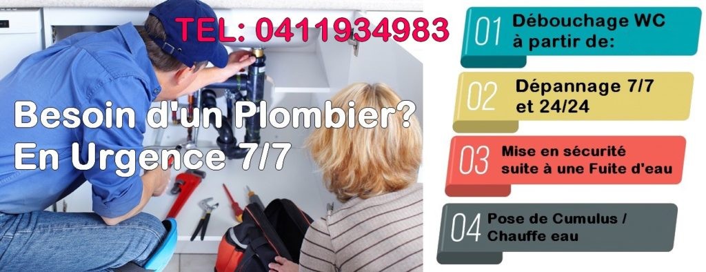 plombier Mireval, 34110